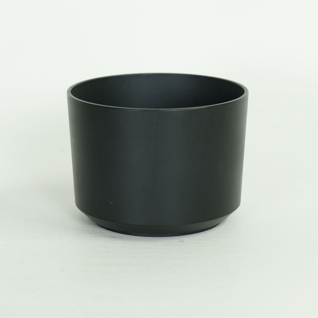 SONY E 55-210mm F4.5-6.3 OSS SEL55210