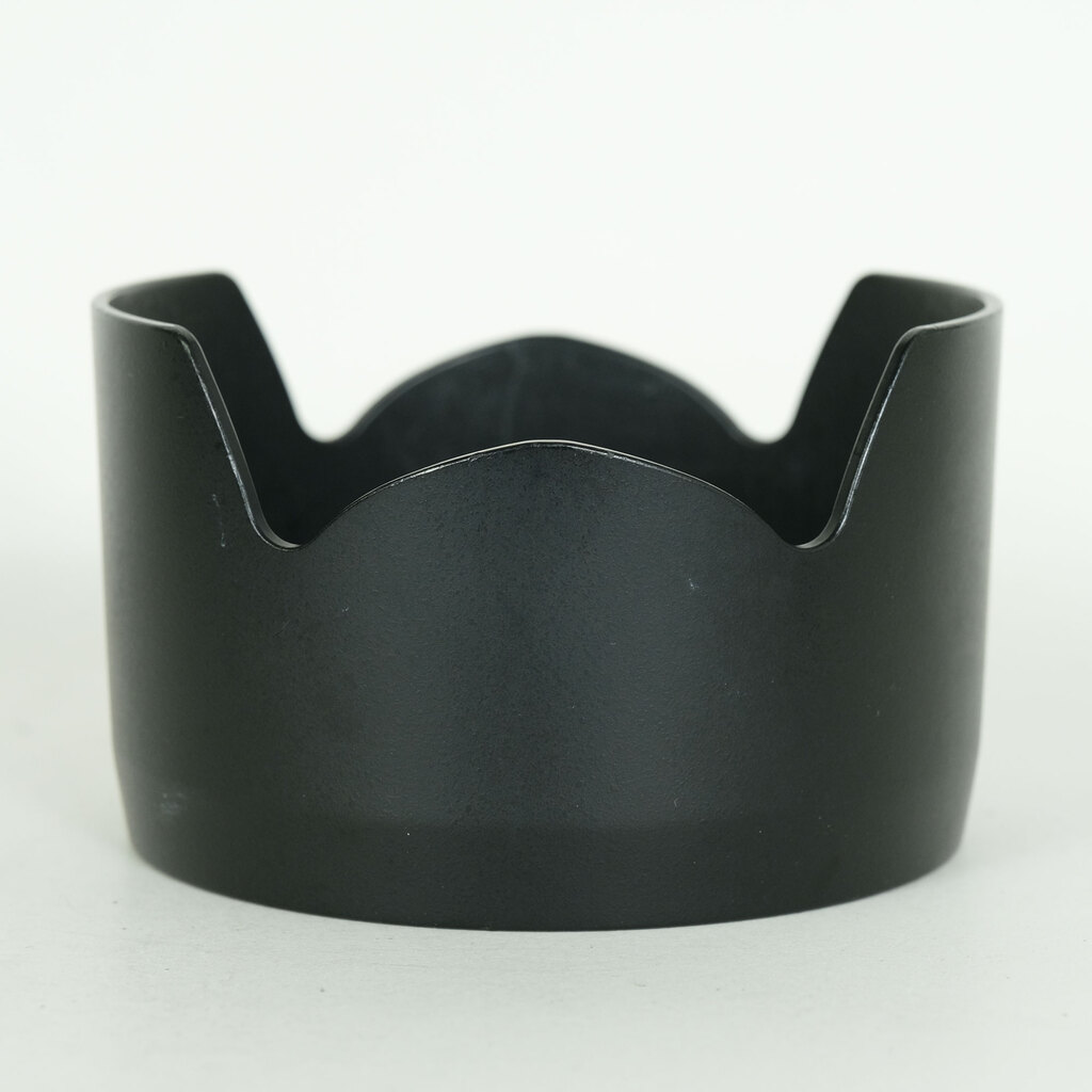 Nikon AF-S DX Zoom-Nikkor 17-55mm f/2.8G IF-ED