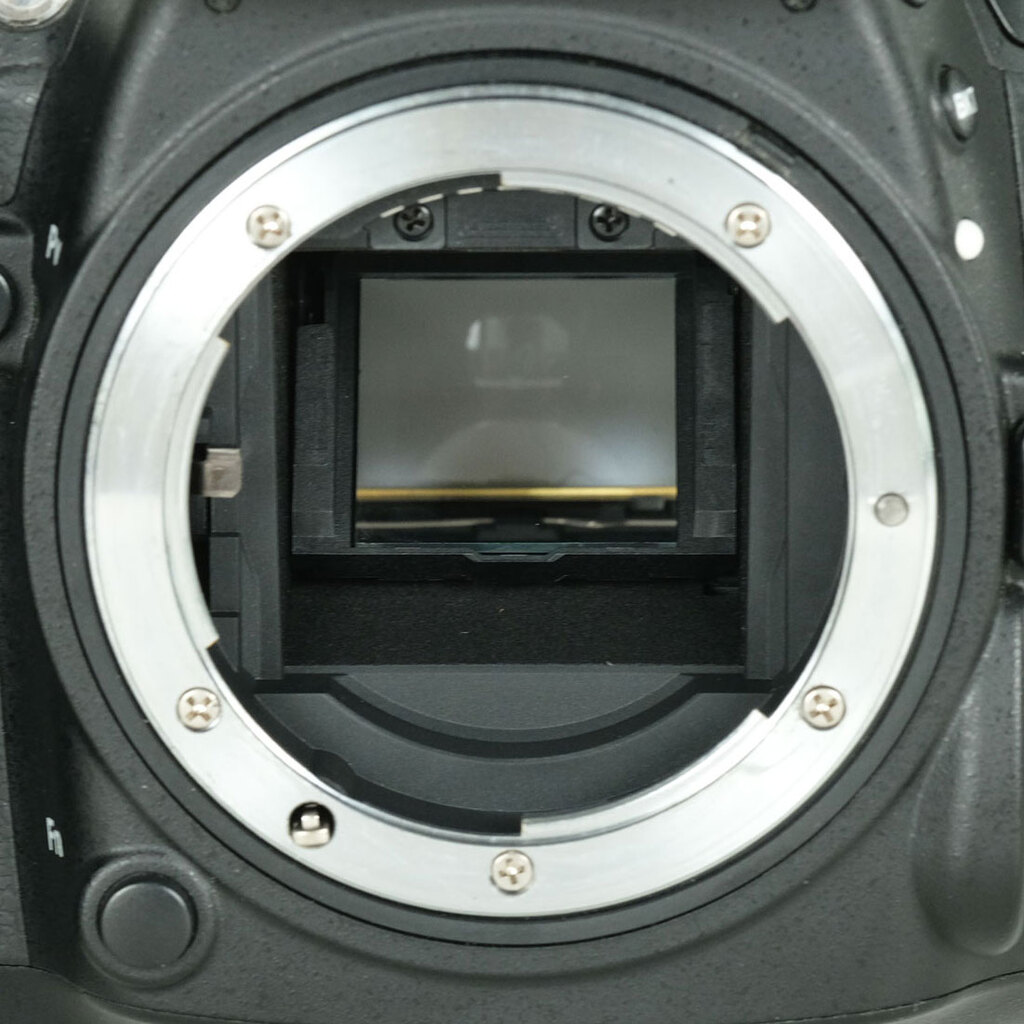 Nikon D7100