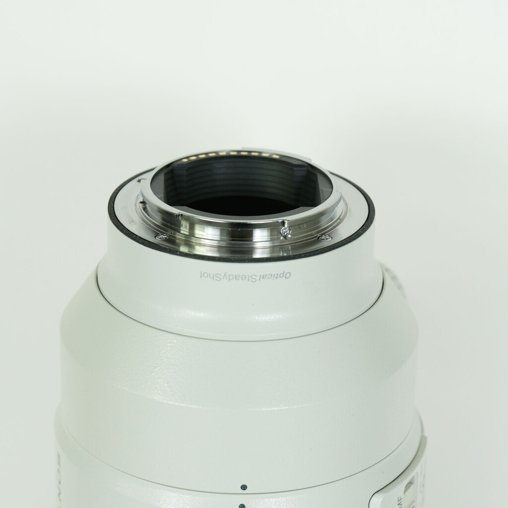 SONY FE 100-400mm F4.5-5.6 GM OSS SEL100400GM