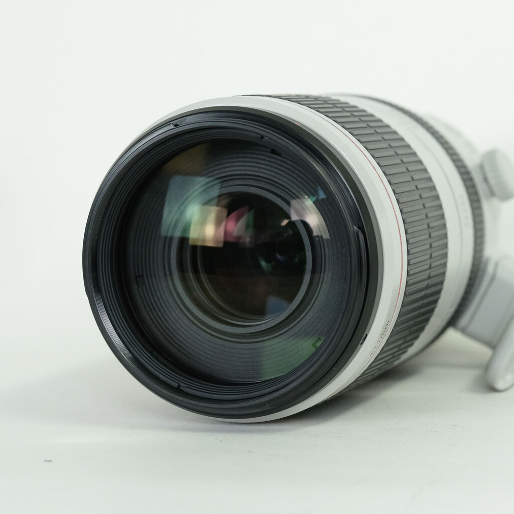 Canon EF100-400mm F4.5-5.6L IS II USM