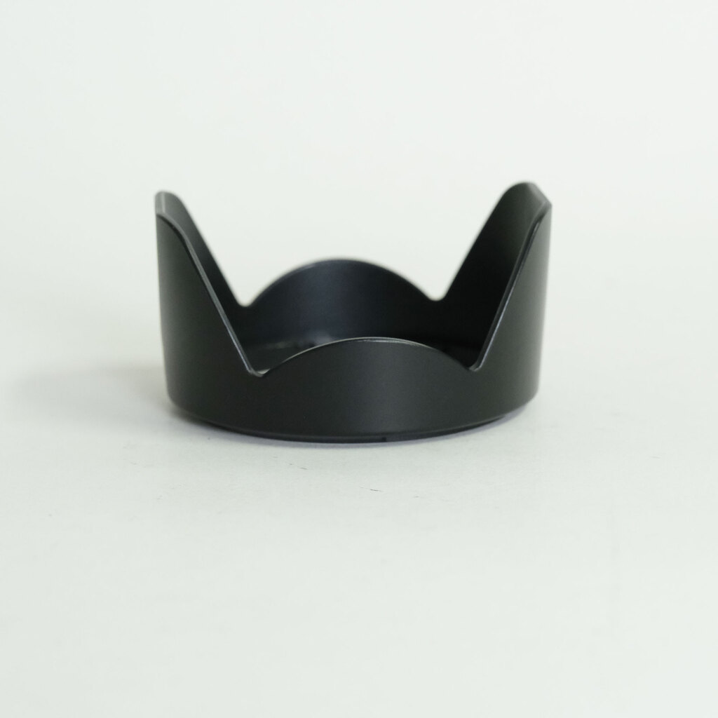 Nikon AF-P DX NIKKOR 18-55mm F3.5-5.6G VR