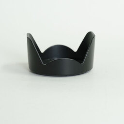 Nikon AF-P DX NIKKOR 18-55mm F3.5-5.6G VR