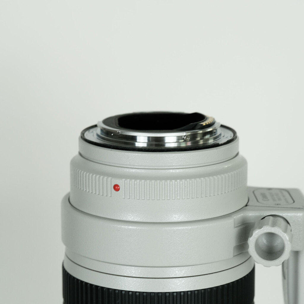 Canon EF70-200mm F2.8L IS III USM