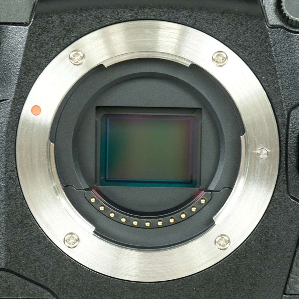 OLYMPUS OM-D E-M1Xの出品 | ONE SCENE（ワンシーン）