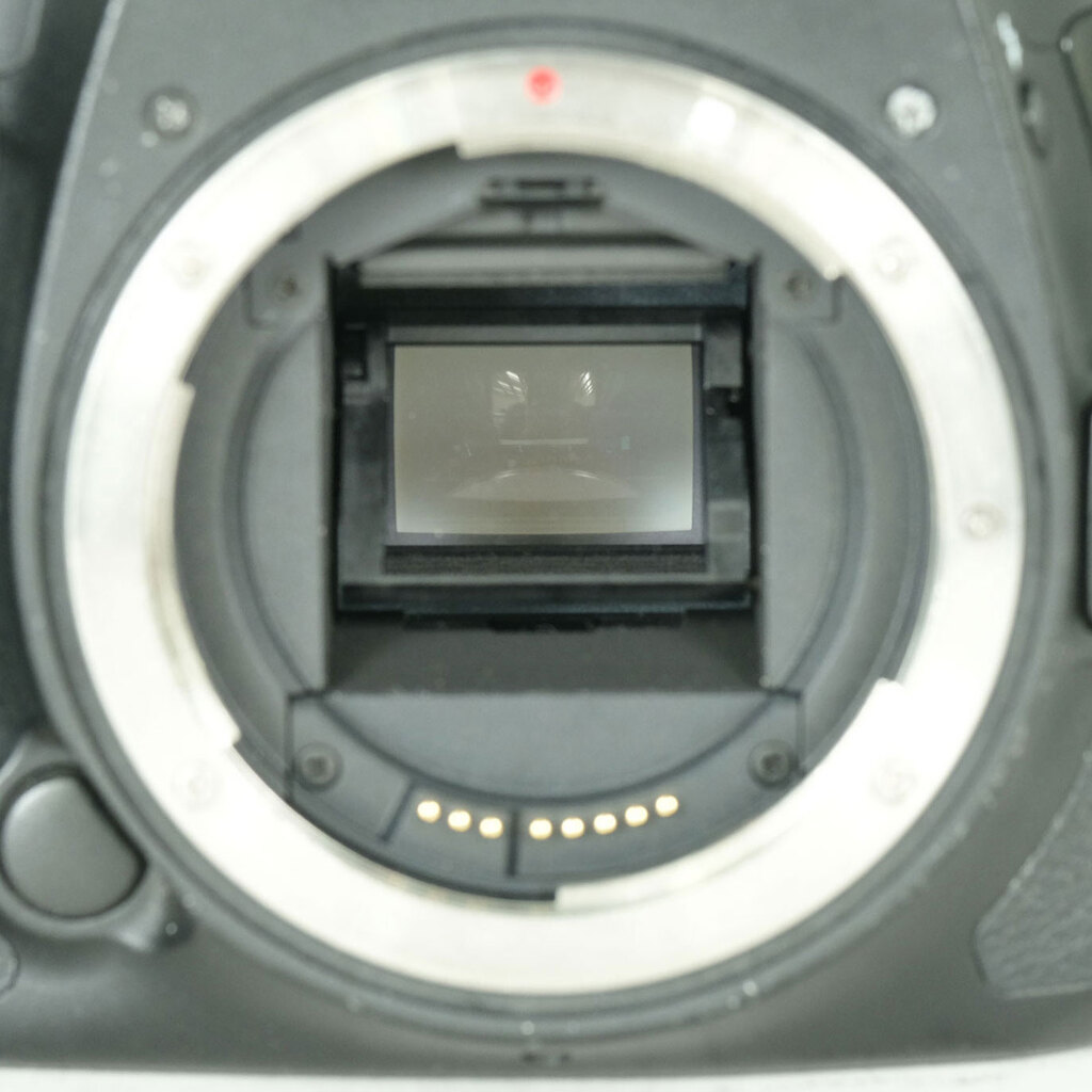 Canon EOS 7D Mark II