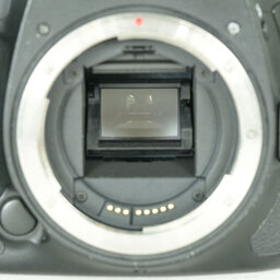 Canon EOS 7D Mark II