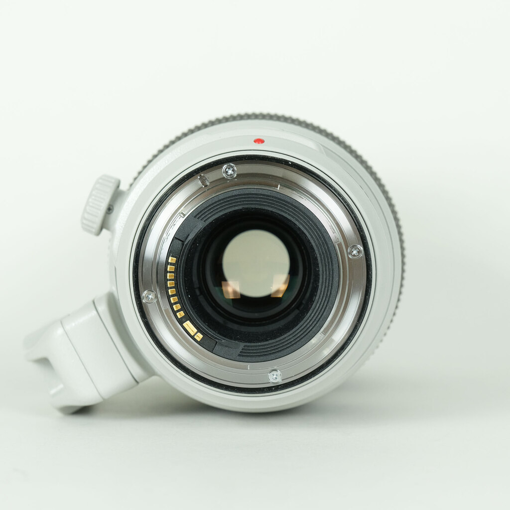 Canon EF100-400mm F4.5-5.6L IS II USM