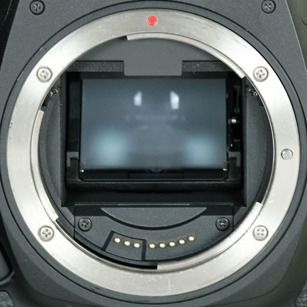 Canon EOS 5D Mark IV