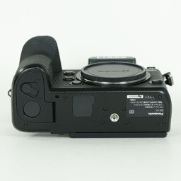 Panasonic LUMIX DC-S1