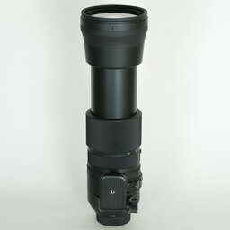 SIGMA 150-600mm F5-6.3 DG OS HSM｜Contemporary [ニコンF用]