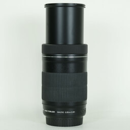 Canon EF-S55-250mm F4-5.6 IS STM