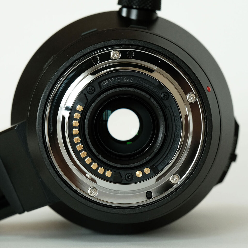 Panasonic LEICA DG VARIO-ELMAR 100-400mm / F4.0-6.3 II ASPH. / POWER O.I.S.