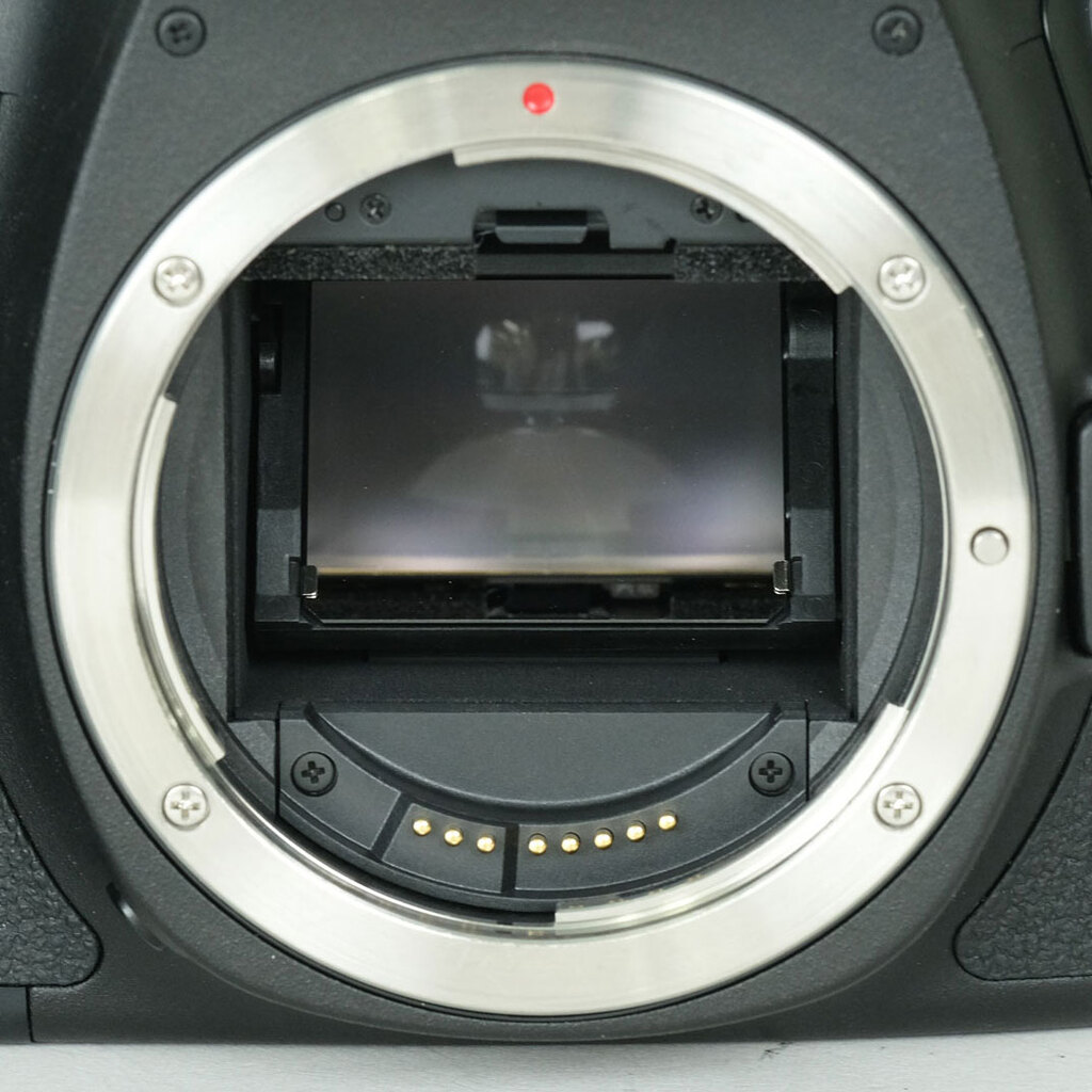 Canon EOS 6Dの出品 | ONE SCENE（ワンシーン）