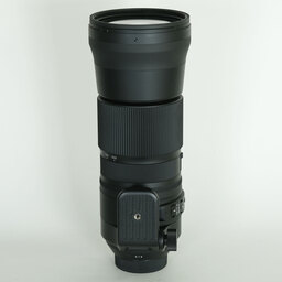 SIGMA 150-600mm F5-6.3 DG OS HSM｜Contemporary [ニコンF用]
