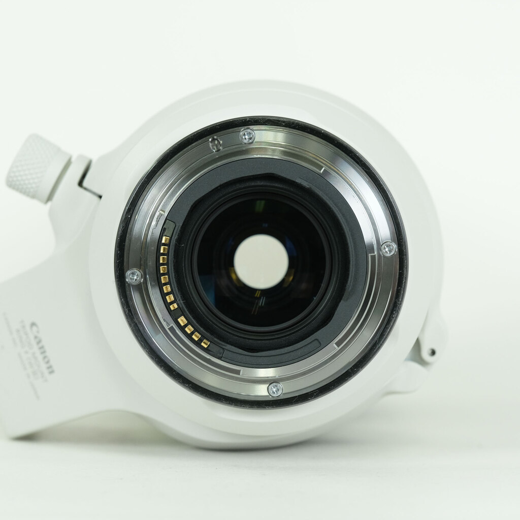 Canon RF100-500mm F4.5-7.1L IS USM