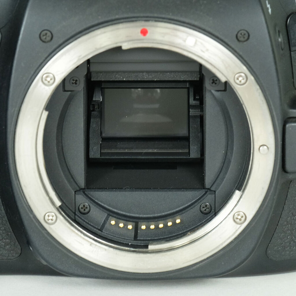 Canon EOS 80D