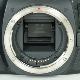 Canon EOS 80D
