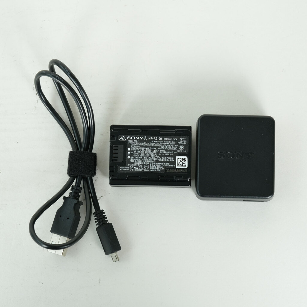 SONY α6600（ILCE-6600）の出品 | ONE SCENE（ワンシーン）