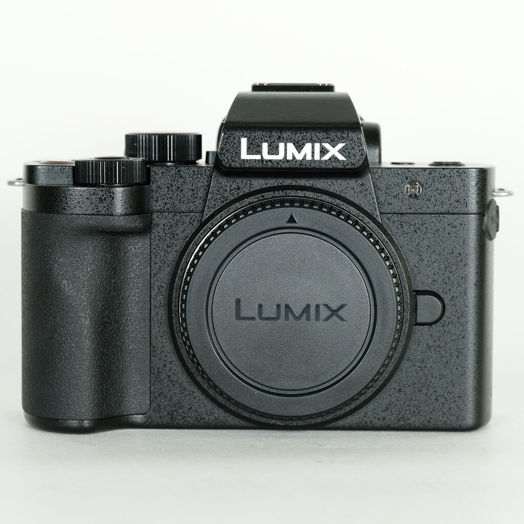 Panasonic LUMIX DC-G100