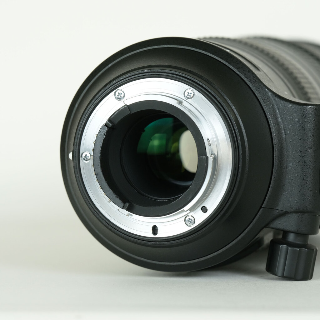 Nikon AF-S NIKKOR 200-500mm f/5.6E ED VR