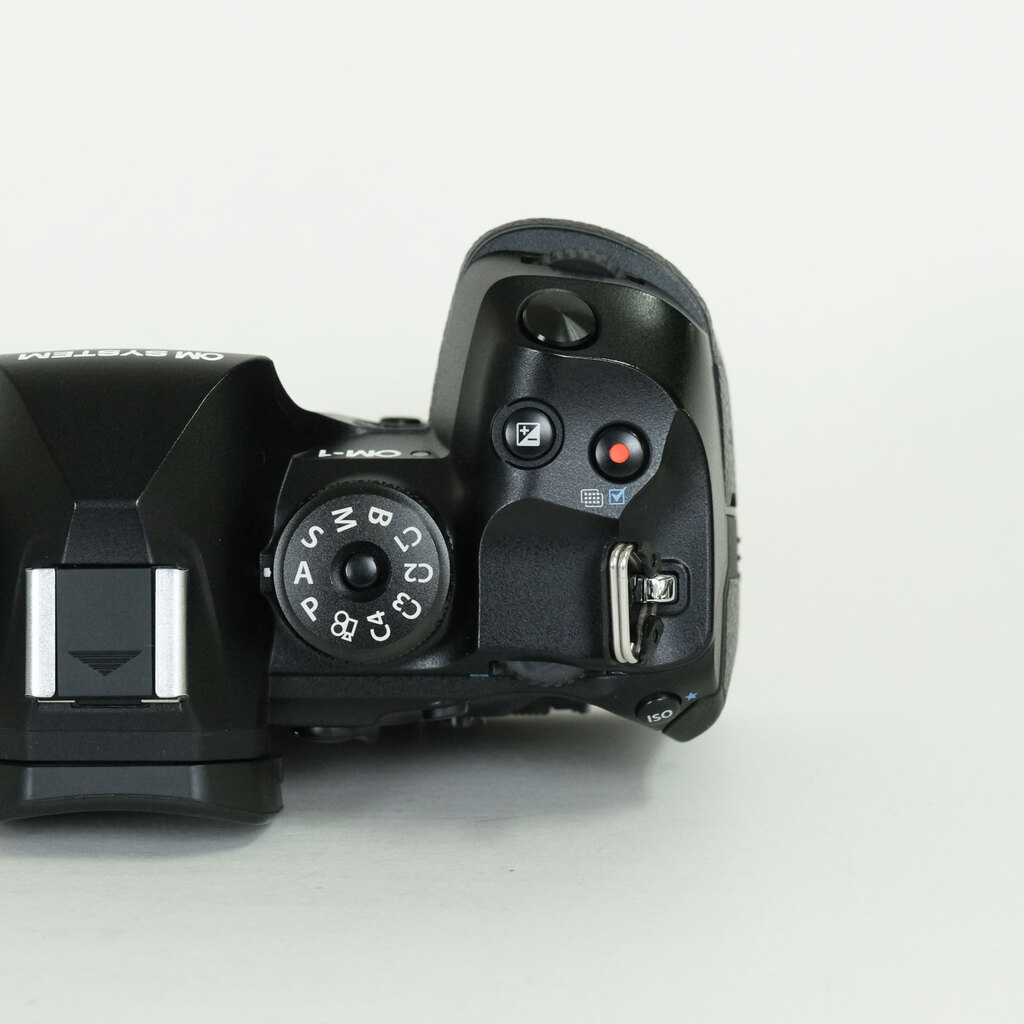 OM SYSTEM OM-1 Mark II