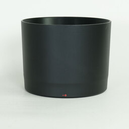 Canon RF200-800mm F6.3-9 IS USM
