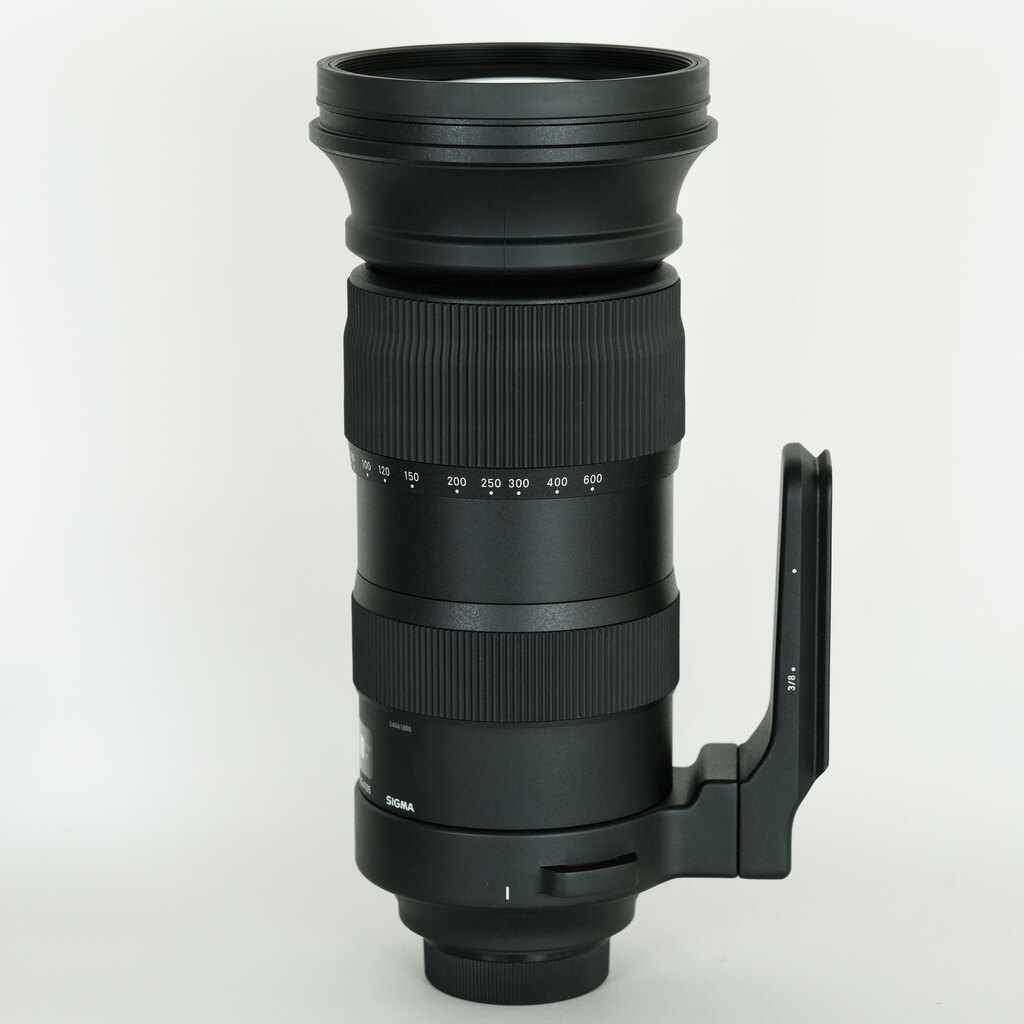SIGMA 60-600mm F4.5-6.3 DG OS HSM｜Sports [ニコンF用]