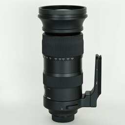 SIGMA 60-600mm F4.5-6.3 DG OS HSM｜Sports [ニコンF用]