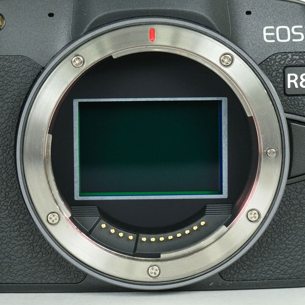 Canon EOS R8の出品 | ONE SCENE（ワンシーン）