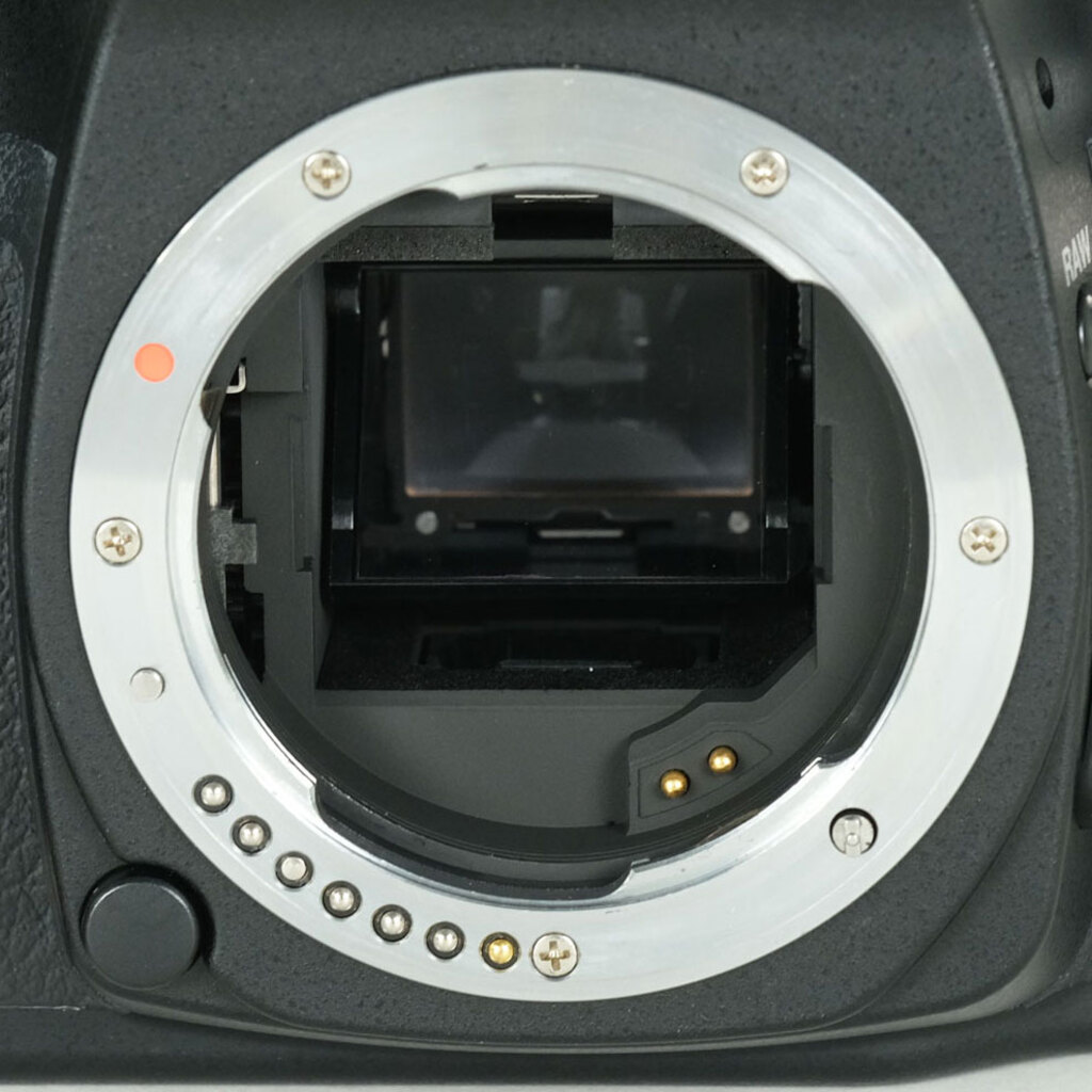 PENTAX K20D ボディの出品 | ONE SCENE（ワンシーン）
