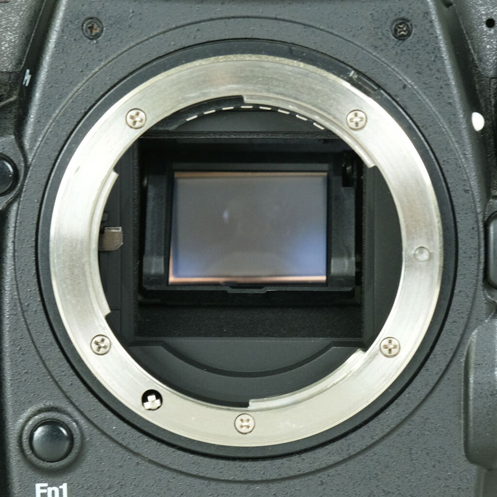 Nikon D500