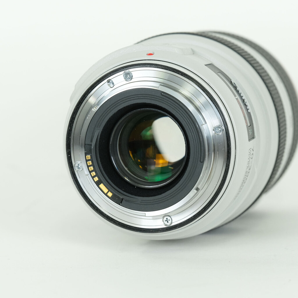 Canon EF70-300mm F4-5.6L IS USM