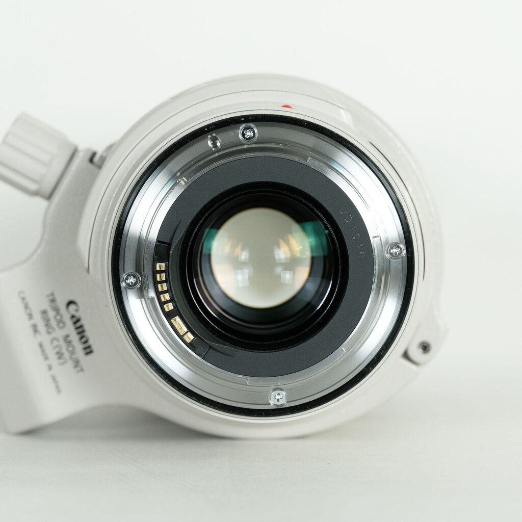 Canon EF28-300mm F3.5-5.6L IS USM