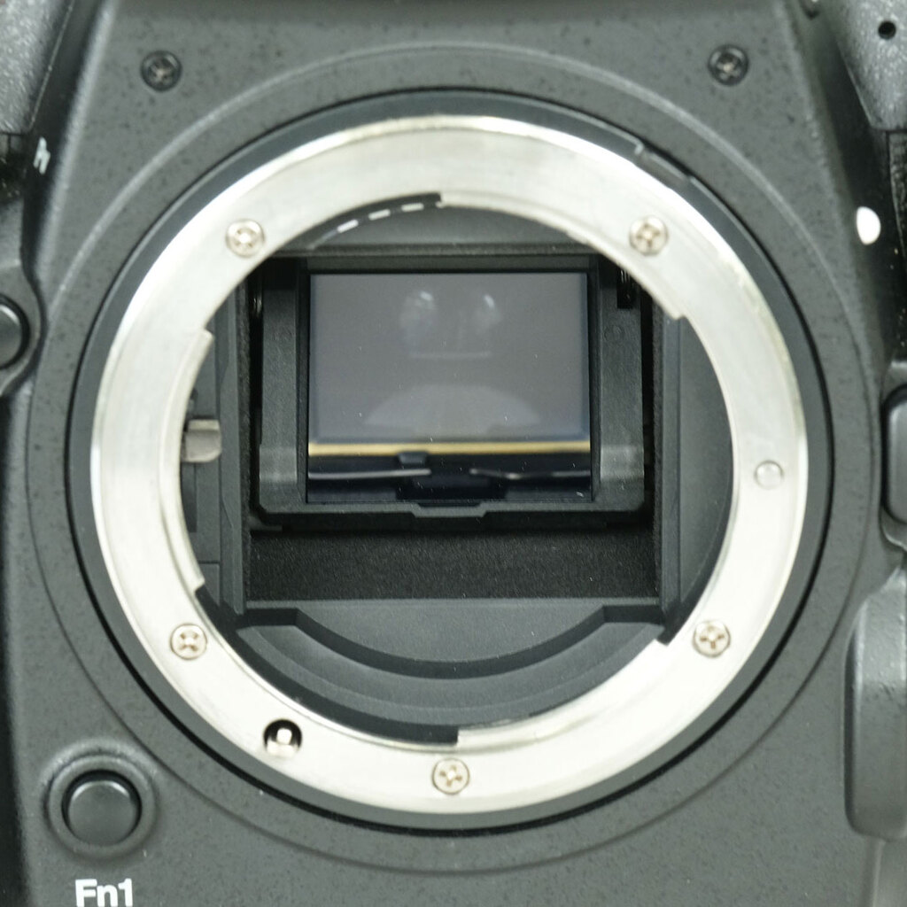 Nikon D500