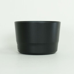 Canon EF-S55-250mm F4-5.6 IS STM