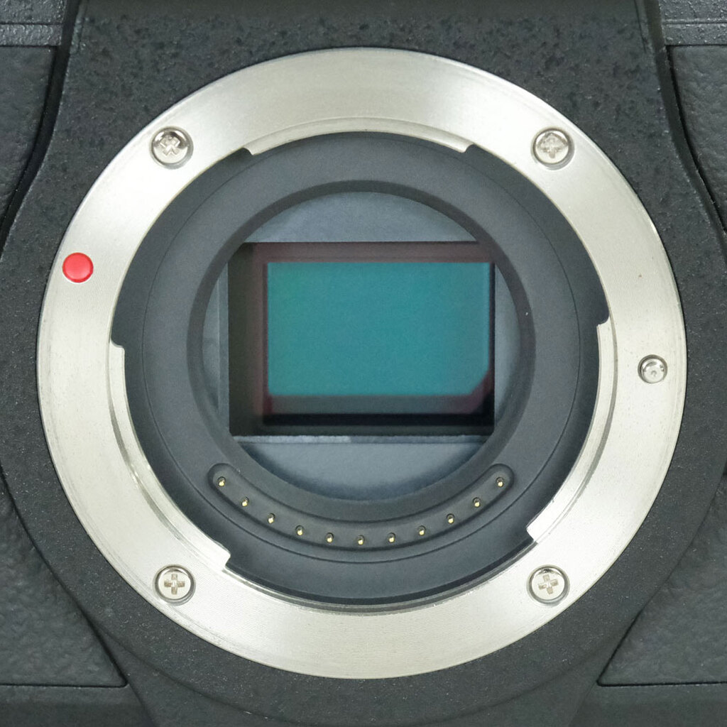 Panasonic LUMIX DMC-G8