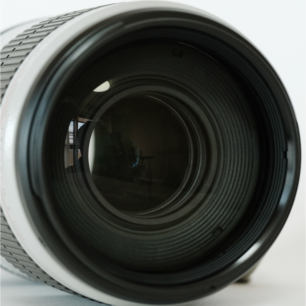 Canon EF100-400mm F4.5-5.6L IS II USM