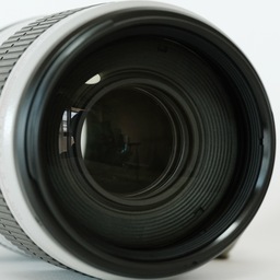 Canon EF100-400mm F4.5-5.6L IS II USM
