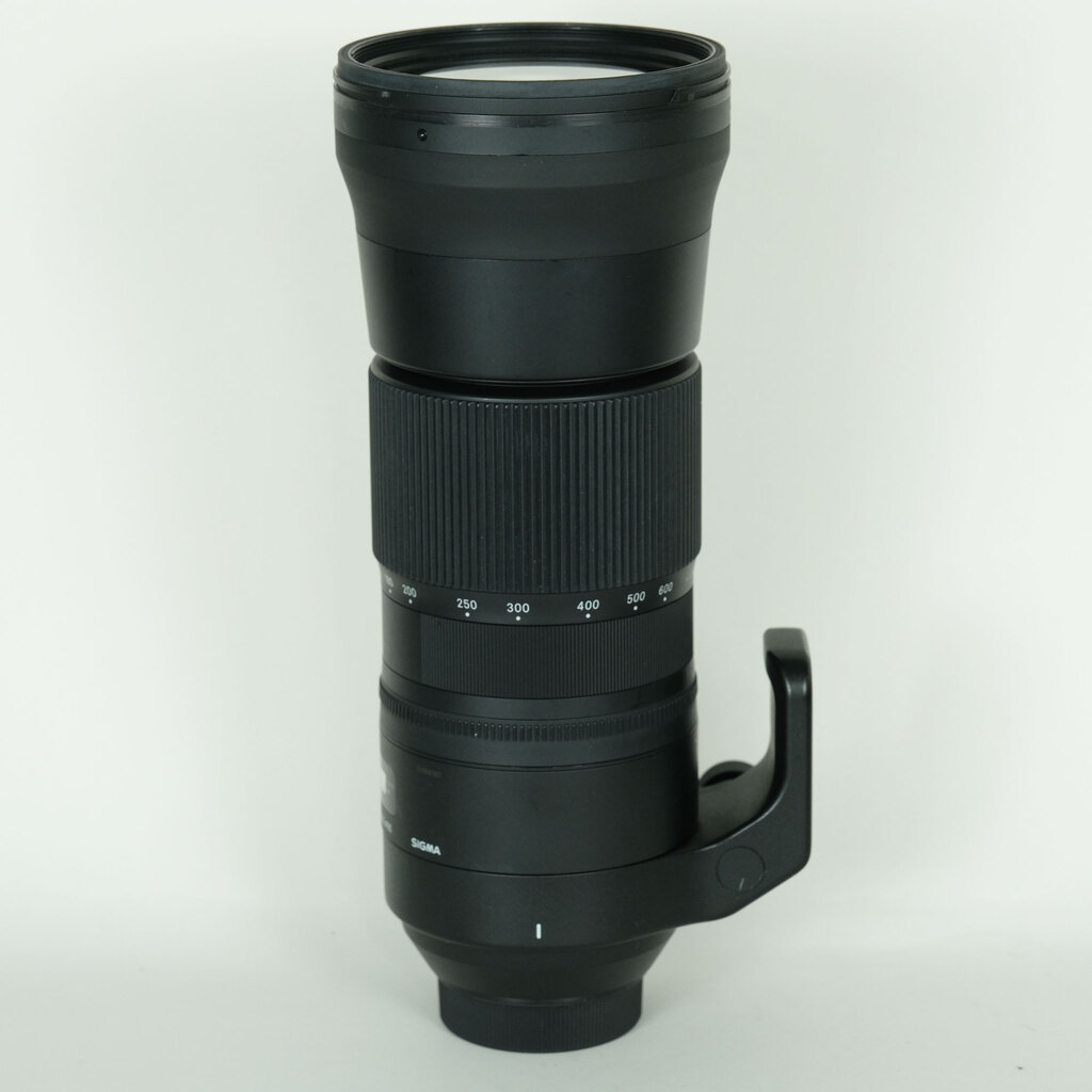 SIGMA 150-600mm F5-6.3 DG OS HSM｜Contemporary [ニコンF用]