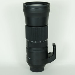 SIGMA 150-600mm F5-6.3 DG OS HSM｜Contemporary [ニコンF用]