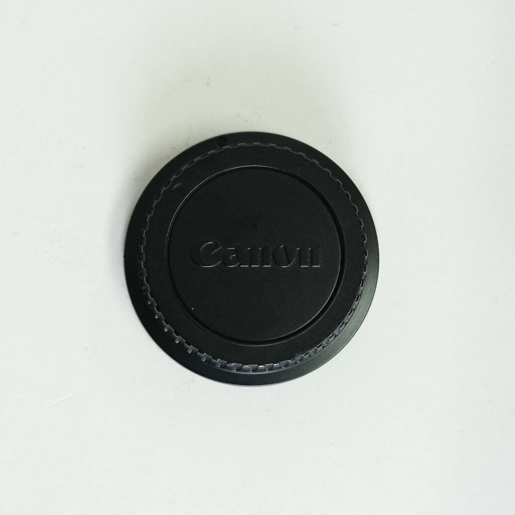 Canon EF100mm F2.8 マクロ USM