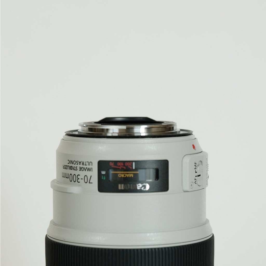 Canon EF70-300mm F4-5.6L IS USM