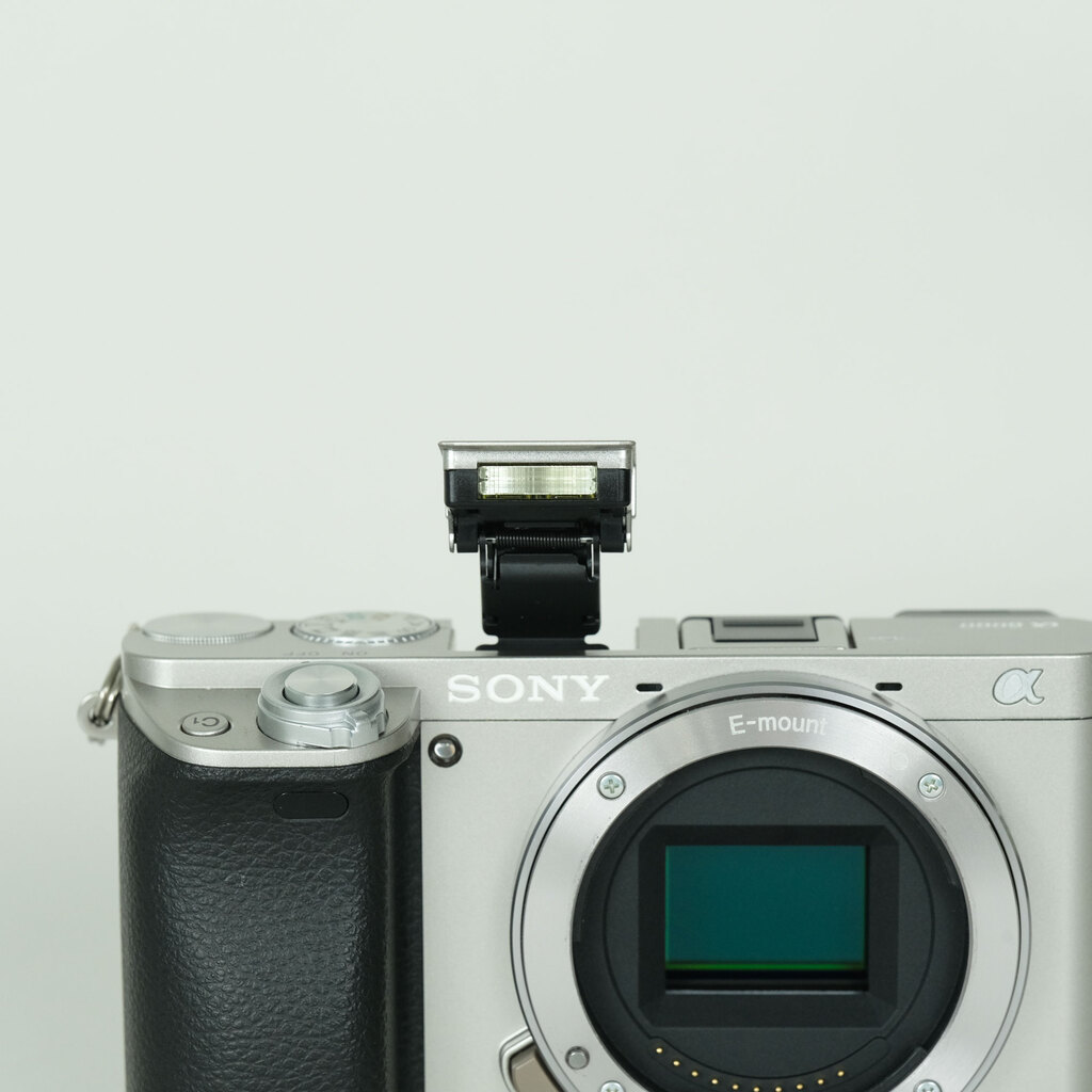 SONY α6000（ILCE-6000）の出品 | ONE SCENE（ワンシーン）