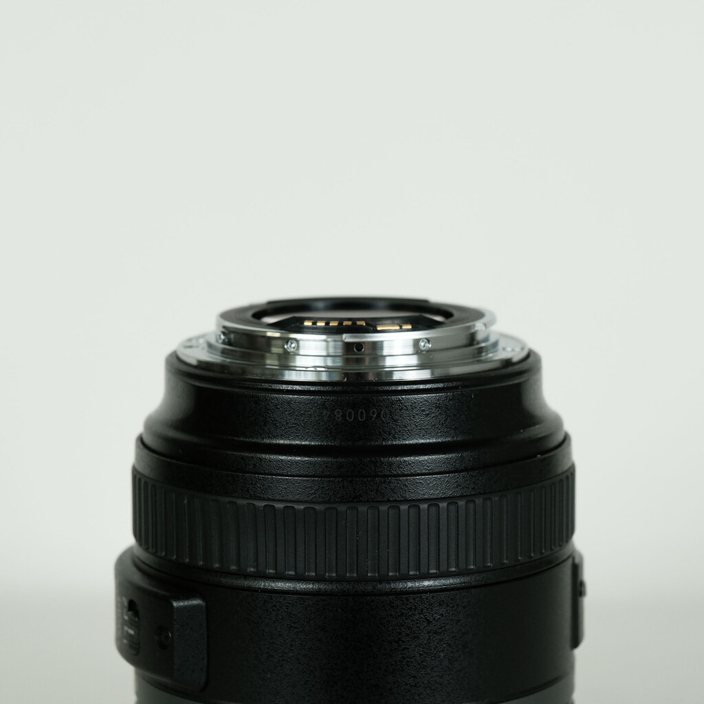 Canon EF70-300mm F4.5-5.6 DO IS USM