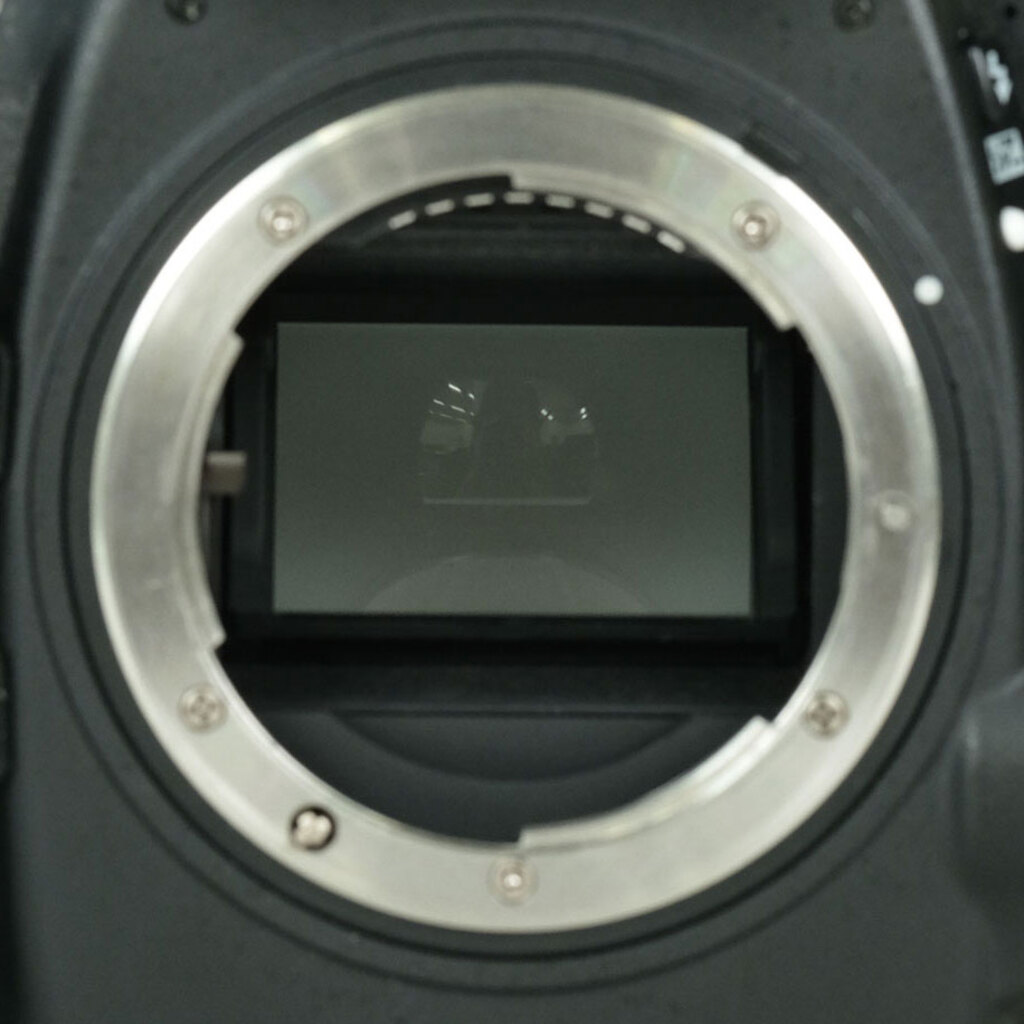 Nikon D800