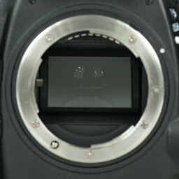 Nikon D800