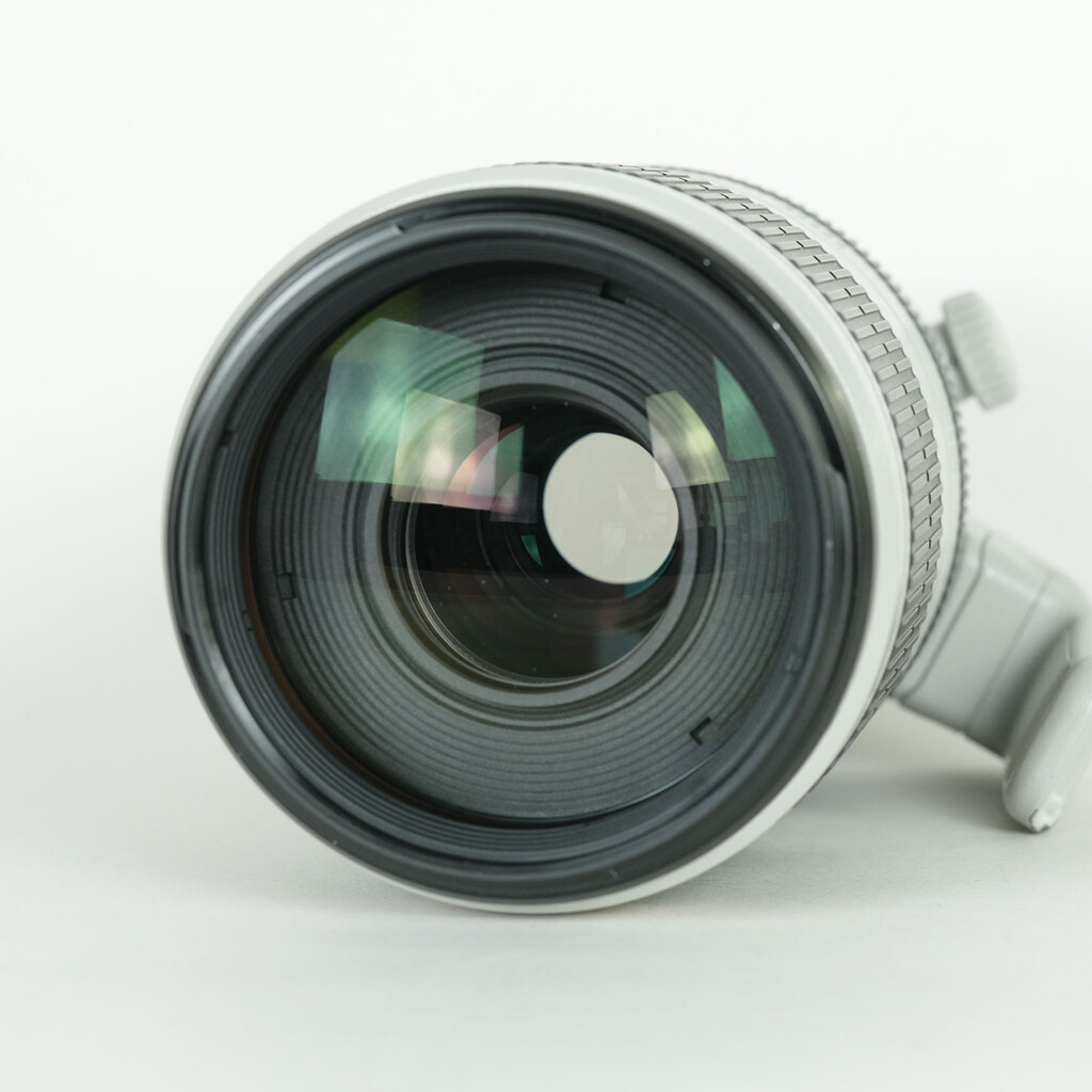 Canon EF100-400mm F4.5-5.6L IS II USM