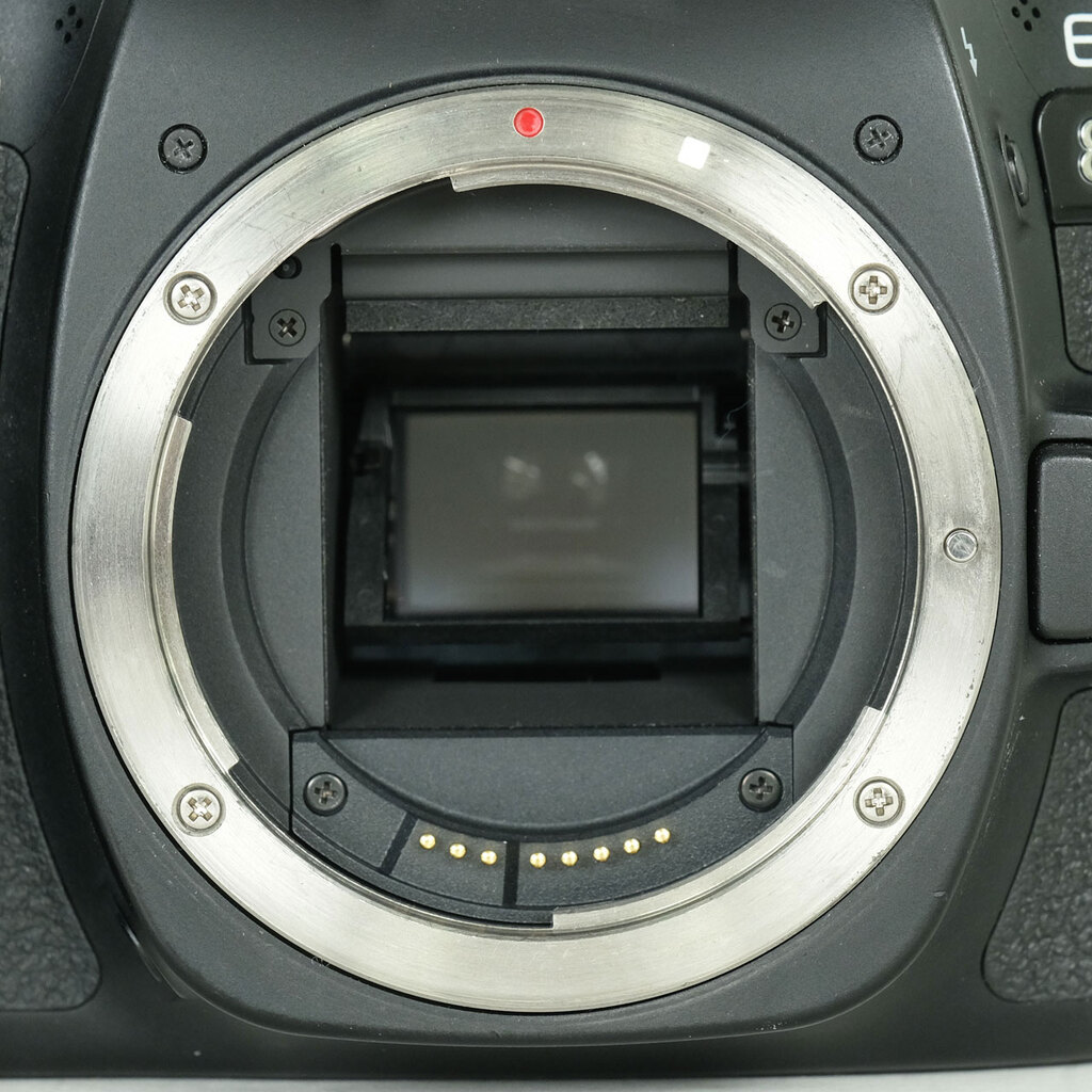 Canon EOS 80Dの出品 | ONE SCENE（ワンシーン）