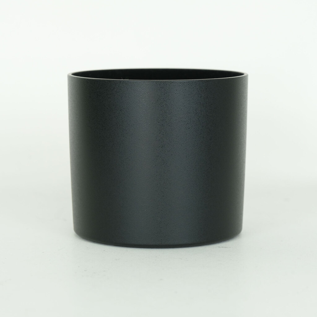 Canon EF100mm F2.8Lマクロ IS USM